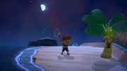 Nintendo Music ACNH 1 00 AM - Clear.jpg