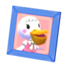 Pelly's pic
