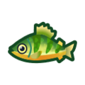 Yellow Perch NH Icon.png