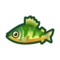 Yellow Perch NH Icon.png