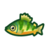 Yellow Perch NH Icon.png