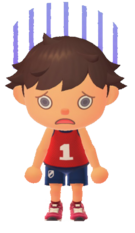 NH Player Sadness.png