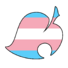 This user is transgender
