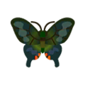 Peacock Butterfly PC Icon.png