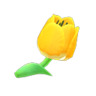 yellow tulips