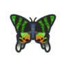 Madagascan Sunset Moth NH Icon.png