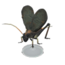 bell cricket model