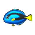 Surgeonfish CF Model.png