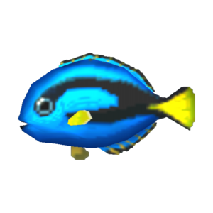 Surgeonfish CF Model.png