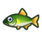 Sweetfish NH Icon.png