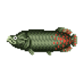 Arapaima PG Field Sprite Upscaled.png