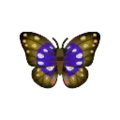 Purple Butterfly PC Icon.png