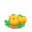 ripe yellow-pumpkin plant