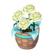 White Carnations NL Model.png