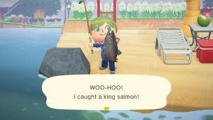 Caught King Salmon NH 1.jpg