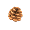 Pine Cone NH Icon.png
