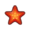 Sea Star NH Icon.png