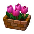 Pink Tulips NL Model.png