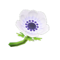 White Windflowers NH Icon.png