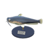 catfish model