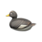 Decoy Duck (Steamer Duck) NH Icon.png