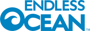 Endless Ocean Logo.png
