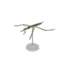 pondskater model
