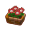 Potted Red Dahlias PC Icon.png