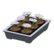Potted starter plants's Gray variant