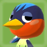 Robin's Pic PC Texture.png
