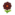 Black Cosmos NH Inv Icon.png