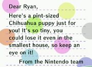 CF Letter Nintendo Chihuahua Model.jpg