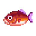 Carp iQue Icon Upscaled.png