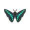 Common Bluebottle PC Icon.png