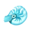 icy chambered nautilus