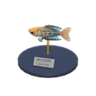 rainbowfish model