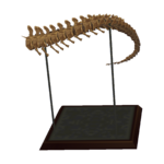 T. Rex