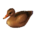 Decoy duck's Female variant