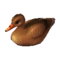 Decoy Duck (Female) NL Model.png