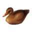 decoy duck