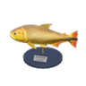 dorado model