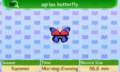 NL Encyclopedia Agrias Butterfly.png
