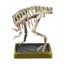T-rex torso