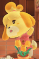 NH Isabelle Fitness.png