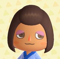 Hairstyle - Animal Crossing Wiki - Nookipedia