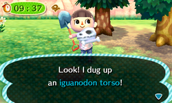 NL Easy Fossil Finder's Tour.png