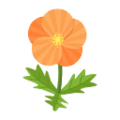Orange Poppies PC Icon.png