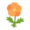 Orange Poppies PC Icon.png