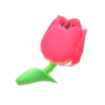 pink tulips