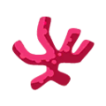 Coral PC Icon.png